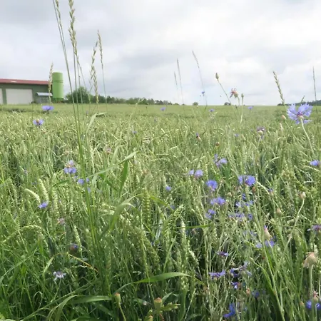 Lägenhet Ferienhof Windegg *