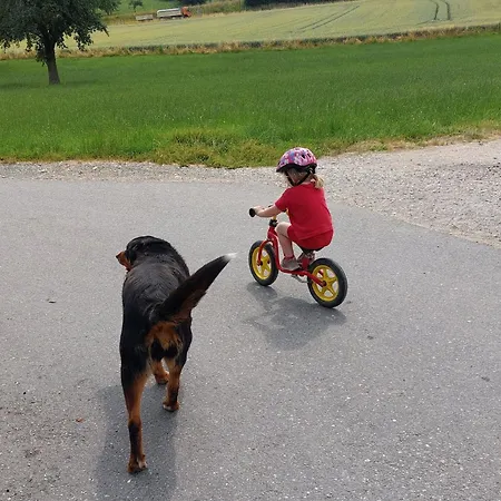 Lägenhet Ferienhof Windegg