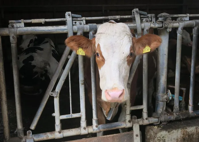 شقة Bauernhof Bohner *