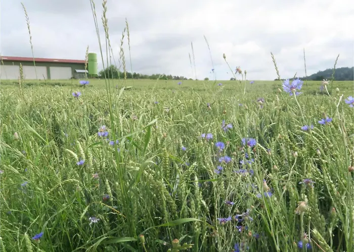 شقة Bauernhof Bohner *