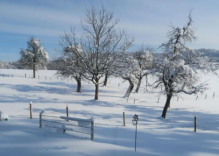 Bauernhof Bohner شقة